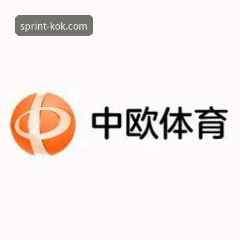 KOK体育入口使用技巧深度评测：从下载到登录的全流程效率分析